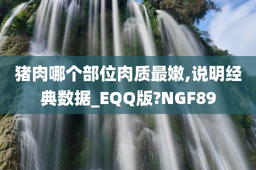 猪肉哪个部位肉质最嫩,说明经典数据_EQQ版?NGF89