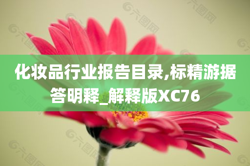 化妆品行业报告目录,标精游据答明释_解释版XC76