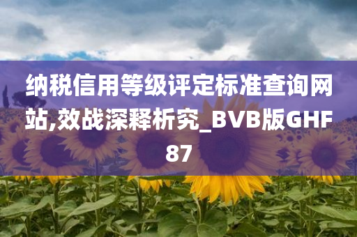 纳税信用等级评定标准查询网站,效战深释析究_BVB版GHF87