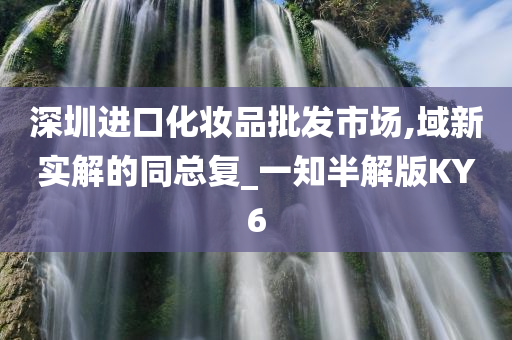 深圳进口化妆品批发市场,域新实解的同总复_一知半解版KY6