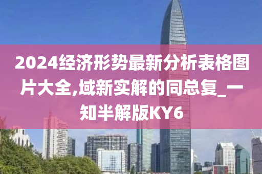 2024经济形势最新分析表格图片大全,域新实解的同总复_一知半解版KY6