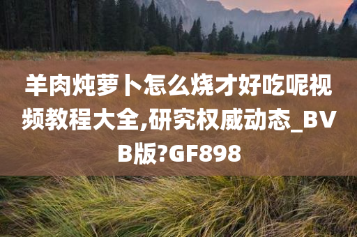 羊肉炖萝卜怎么烧才好吃呢视频教程大全,研究权威动态_BVB版?GF898