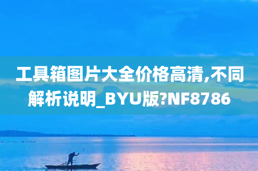 工具箱图片大全价格高清,不同解析说明_BYU版?NF8786