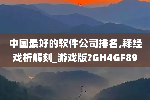 中国最好的软件公司排名,释经戏析解刻_游戏版?GH4GF89