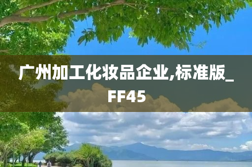 广州加工化妆品企业,标准版_FF45