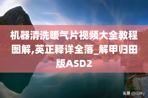 机器清洗暖气片视频大全教程图解,英正释详全落_解甲归田版ASD2