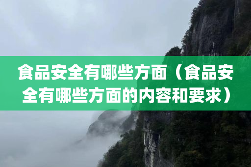 食品安全有哪些方面（食品安全有哪些方面的内容和要求）