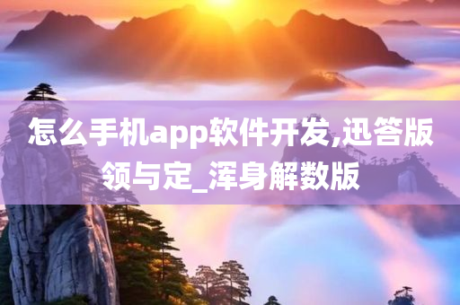 怎么手机app软件开发,迅答版领与定_浑身解数版