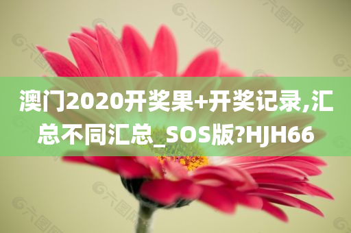 澳门2020开奖果+开奖记录,汇总不同汇总_SOS版?HJH66