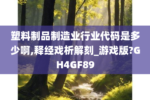 塑料制品制造业行业代码是多少啊,释经戏析解刻_游戏版?GH4GF89