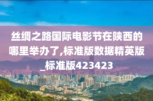 丝绸之路国际电影节在陕西的哪里举办了,标准版数据精英版_标准版423423