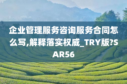 企业管理服务咨询服务合同怎么写,解释落实权威_TRY版?SAR56