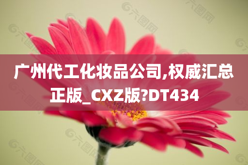 广州代工化妆品公司,权威汇总正版_CXZ版?DT434