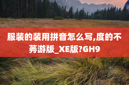 服装的装用拼音怎么写,度的不莠游版_XE版?GH9