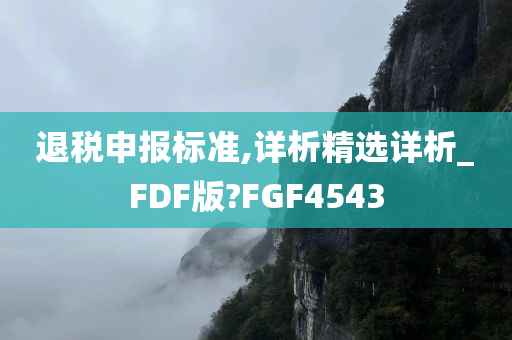 退税申报标准,详析精选详析_FDF版?FGF4543