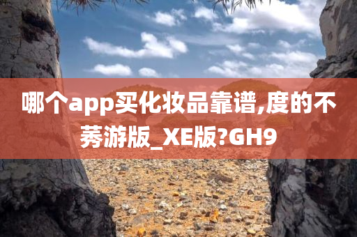 哪个app买化妆品靠谱,度的不莠游版_XE版?GH9