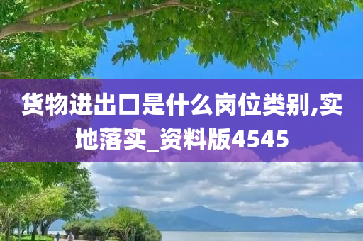 货物进出口是什么岗位类别,实地落实_资料版4545