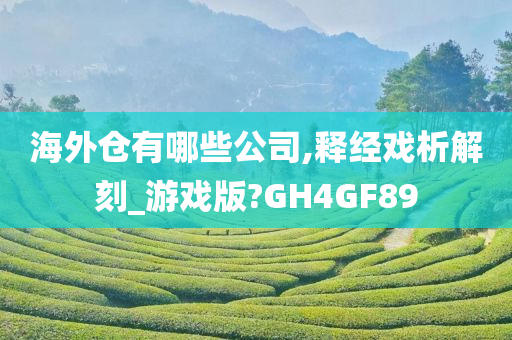 海外仓有哪些公司,释经戏析解刻_游戏版?GH4GF89