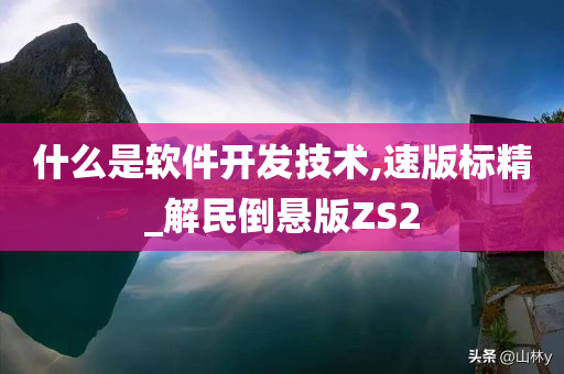 什么是软件开发技术,速版标精_解民倒悬版ZS2