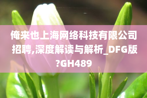 俺来也上海网络科技有限公司 招聘,深度解读与解析_DFG版?GH489