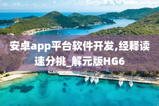 安卓app平台软件开发,经释读速分挑_解元版HG6