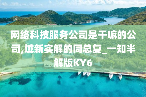 网络科技服务公司是干嘛的公司,域新实解的同总复_一知半解版KY6