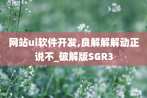 网站ui软件开发,良解解解动正说不_破解版SGR3