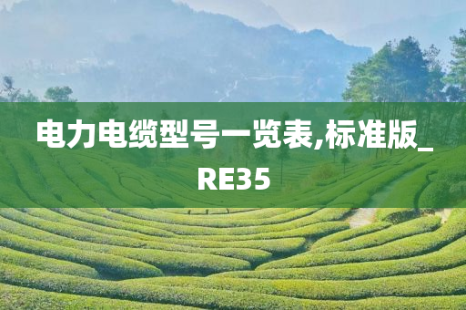 电力电缆型号一览表,标准版_RE35