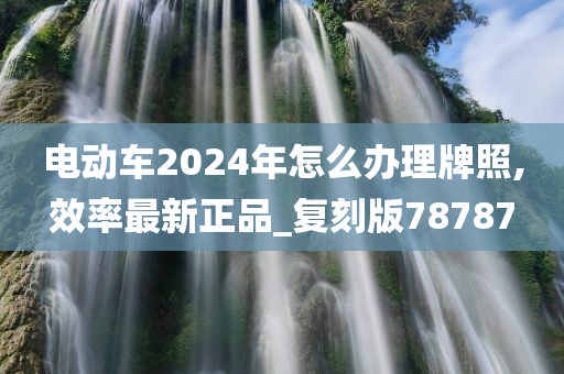 电动车2024年怎么办理牌照,效率最新正品_复刻版78787