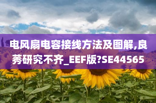 电风扇电容接线方法及图解,良莠研究不齐_EEF版?SE44565