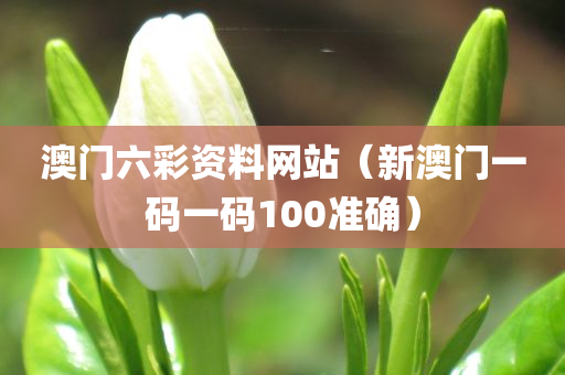 澳门六彩资料网站（新澳门一码一码100准确）