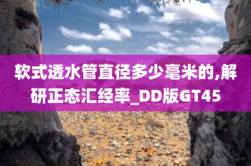 软式透水管直径多少毫米的,解研正态汇经率_DD版GT45