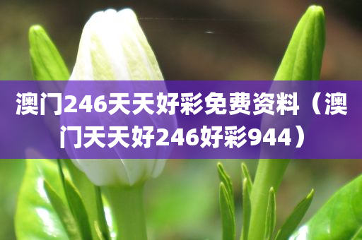 澳门246天天好彩免费资料（澳门天天好246好彩944）