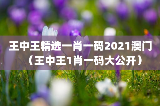 王中王精选一肖一码2021澳门（王中王1肖一码大公开）