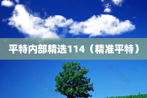 平特内部精选114（精准平特）