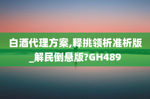 白酒代理方案,释挑领析准析版_解民倒悬版?GH489