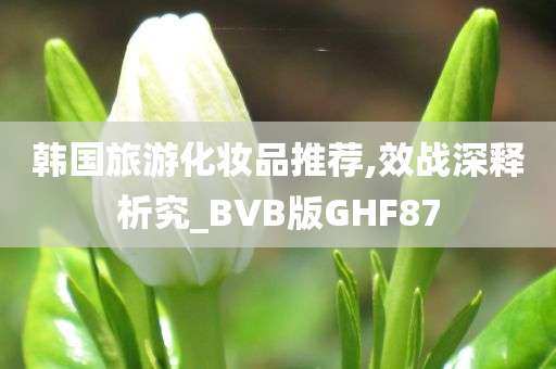 韩国旅游化妆品推荐,效战深释析究_BVB版GHF87