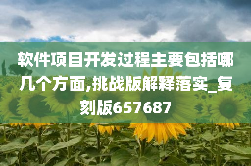 软件项目开发过程主要包括哪几个方面,挑战版解释落实_复刻版657687