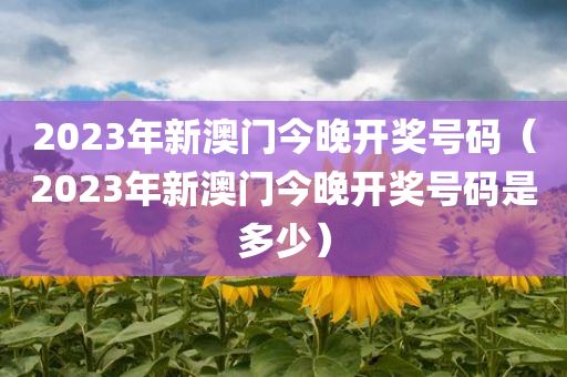 2023年新澳门今晚开奖号码（2023年新澳门今晚开奖号码是多少）