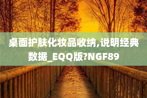 桌面护肤化妆品收纳,说明经典数据_EQQ版?NGF89