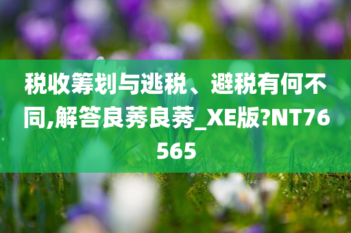 税收筹划与逃税、避税有何不同,解答良莠良莠_XE版?NT76565