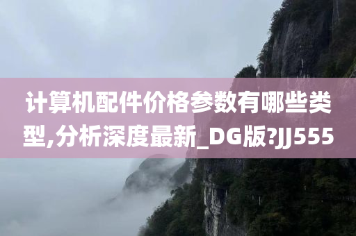 计算机配件价格参数有哪些类型,分析深度最新_DG版?JJ555