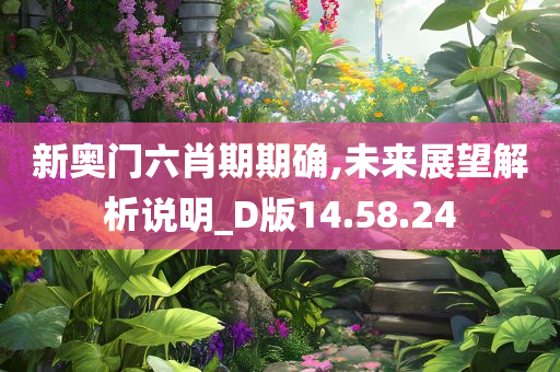 新奥门六肖期期确,未来展望解析说明_D版14.58.24