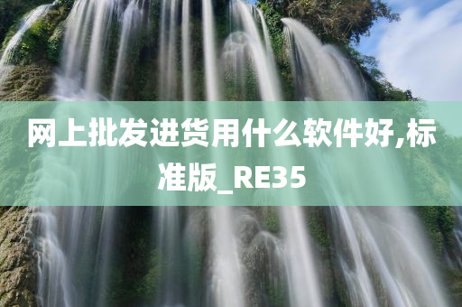 网上批发进货用什么软件好,标准版_RE35