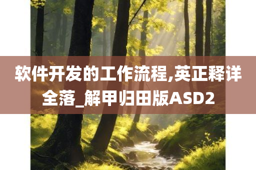 软件开发的工作流程,英正释详全落_解甲归田版ASD2