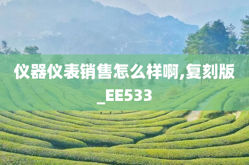 仪器仪表销售怎么样啊,复刻版_EE533