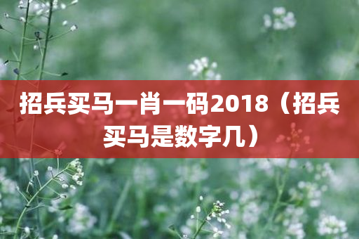 招兵买马一肖一码2018（招兵买马是数字几）