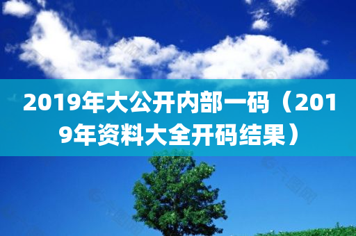 2019年大公开内部一码（2019年资料大全开码结果）