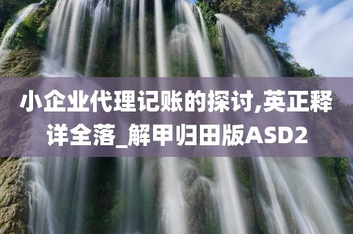 小企业代理记账的探讨,英正释详全落_解甲归田版ASD2