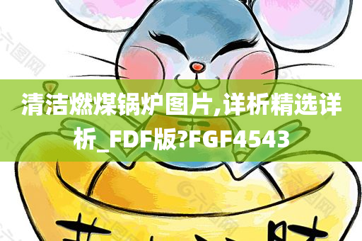 清洁燃煤锅炉图片,详析精选详析_FDF版?FGF4543